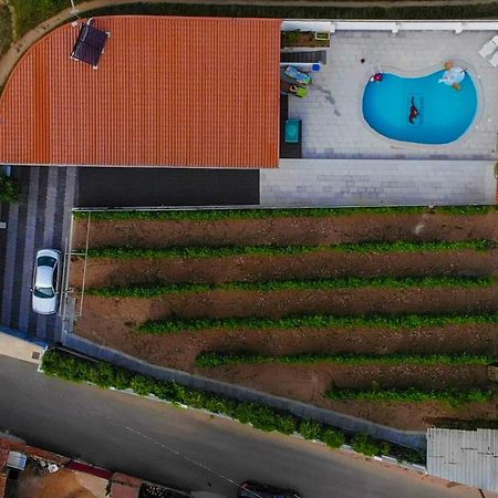 Casinha Das Bonecas - Casa Com Piscina Privada Авейру Екстер'єр фото