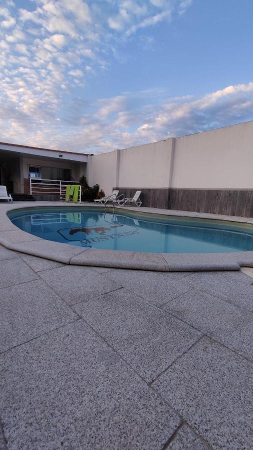 Casinha Das Bonecas - Casa Com Piscina Privada Авейру Екстер'єр фото